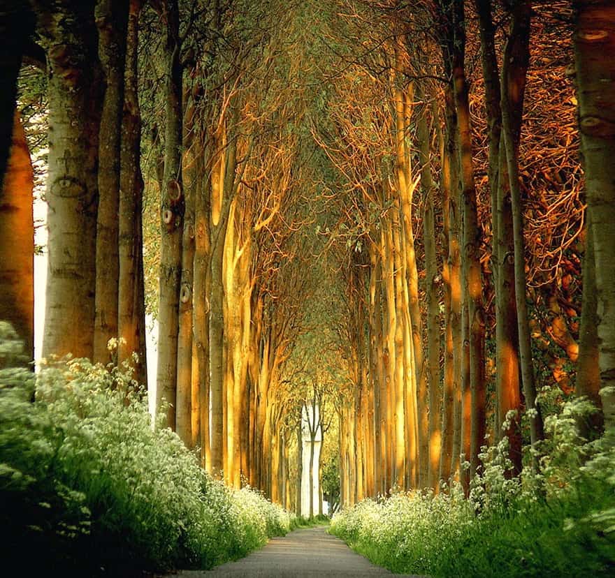 Not a fairytale place! Just head to Drenthe in Holland and be prepared to be blown away.