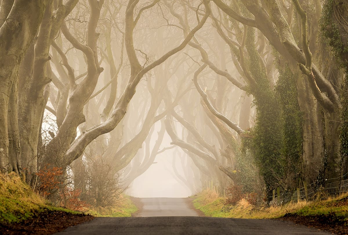 Or if you're in the area during winter time, you'd better wait for a foggy day to snap a photo