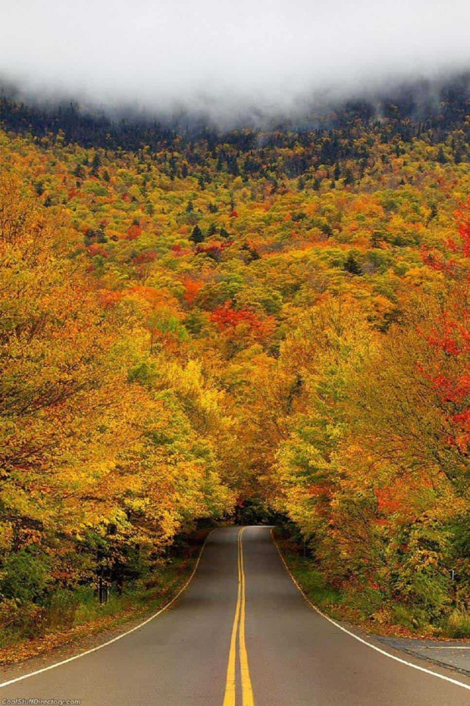 Missing: you in a red Ferrari driving through Smugglers Notch