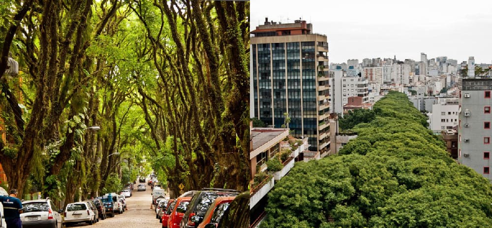 The most beautiful street in the world, Porto Alegre, Brazil