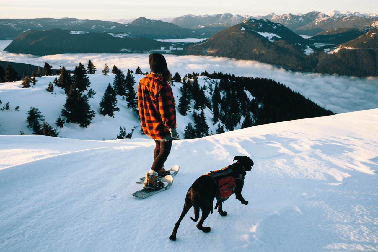 On top of the world. benchandcompass.tumblr.com on top of it all