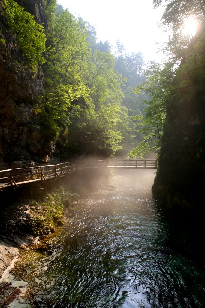 Vintgar Gorge, Triglav National Park, Slovenia
