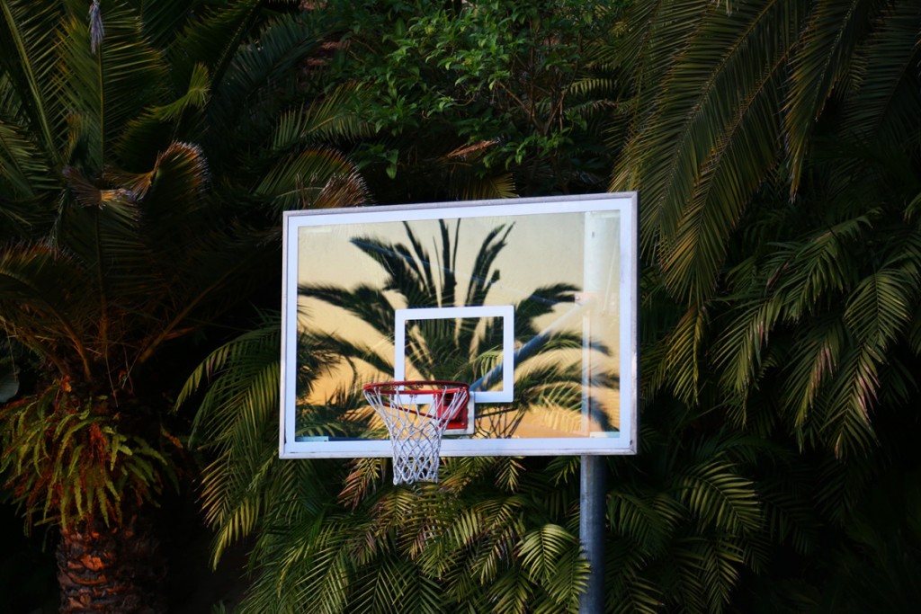 sudden urge to play ball