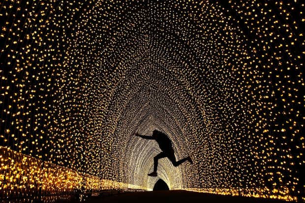 SYDNEY, AUSTRALIA - MAY 25: A poses for a photo inside the 'Cathedral of Light' at The Royal Botanic Gardens on May 25, 2016 in Sydney, Australia. Held annually, Vivid Sydney is the world's largest festival of light, music and ideas. (Photo by Brendon Thorne/Getty Images)