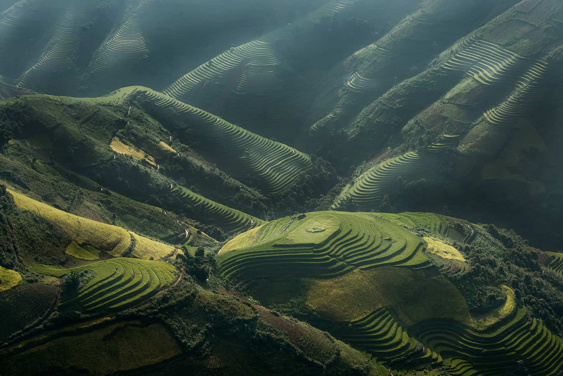 Rice terraces on mountain Vietnam