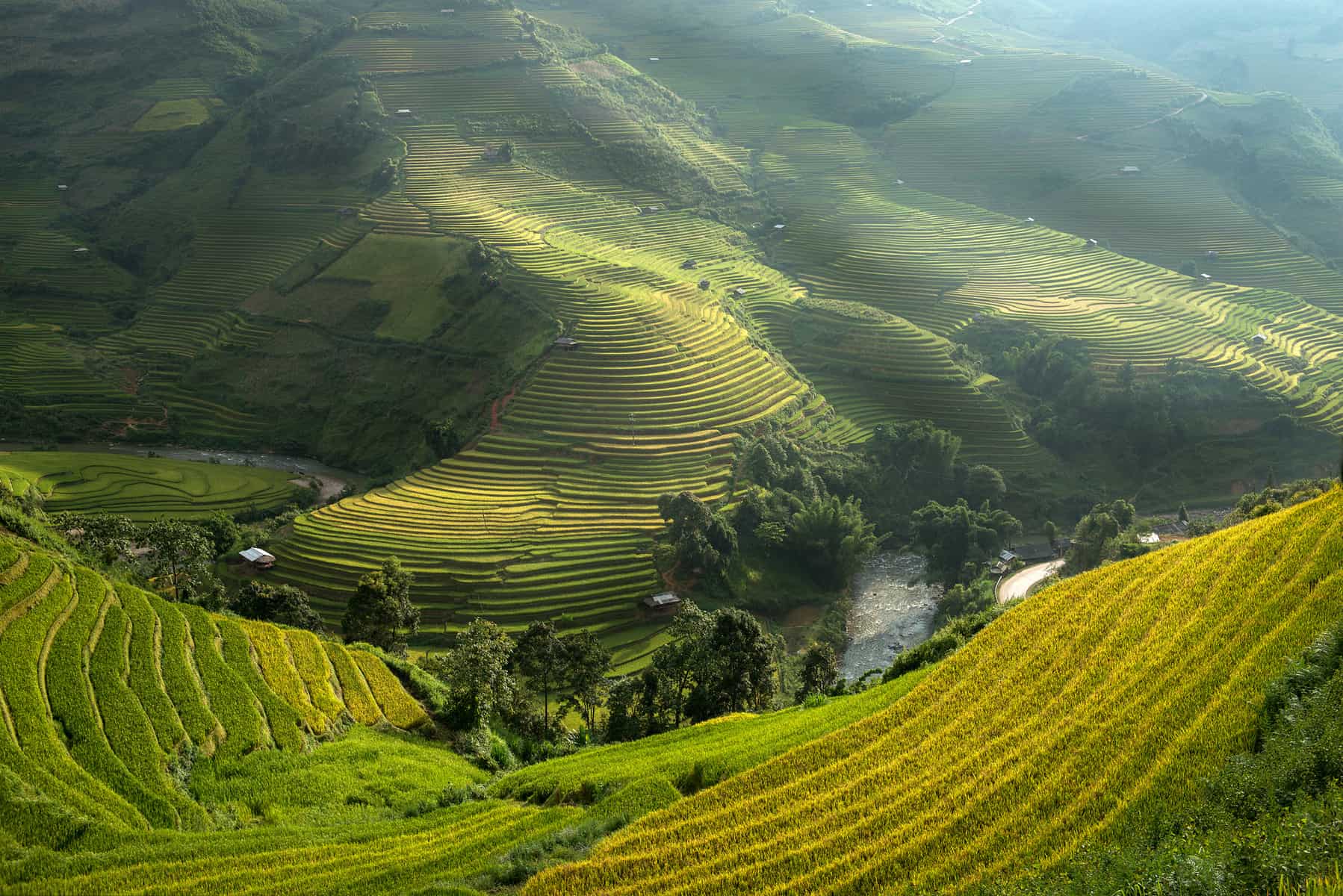 rice terraces stairs Vietnam