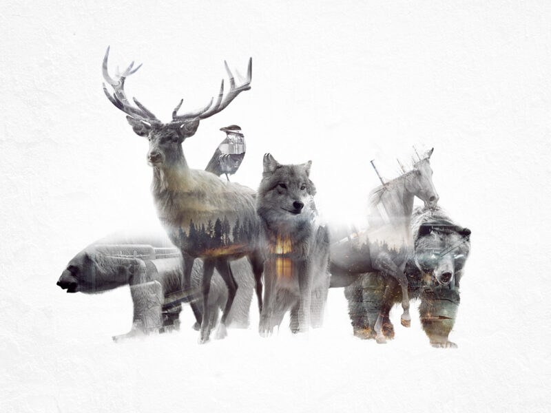 Animated Double Exposure Cinemagraph by Said Dagdeviren 13