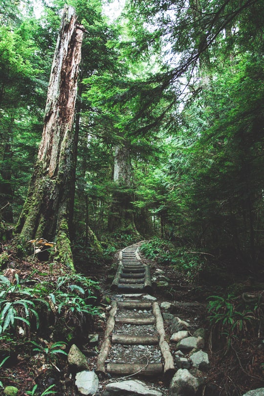 Going up by Jon Trend
