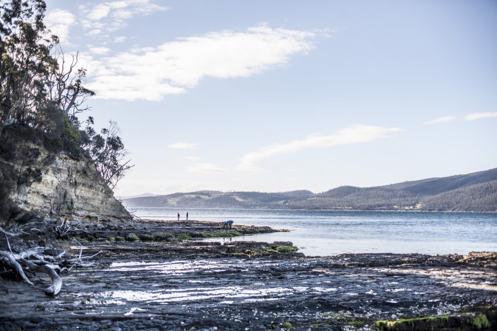 Sunset Bay, Satellite Island