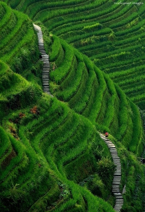 Longsheng, Guilin, China