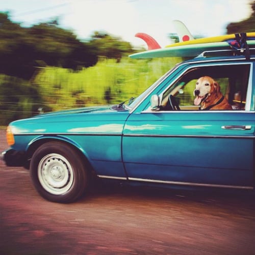 "Have a beer, i'll drive us back"