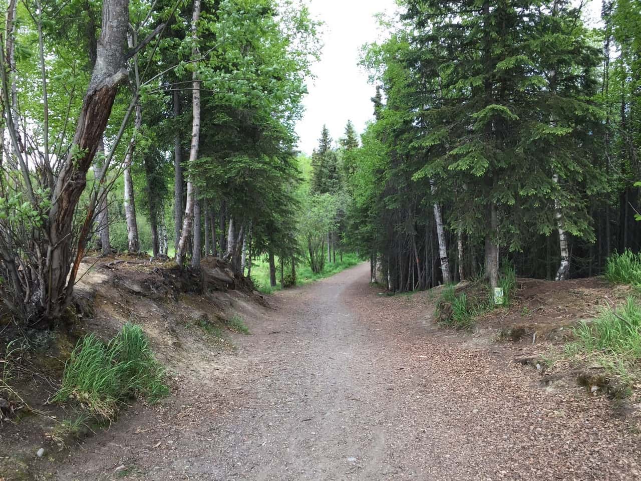 Abbott Loop