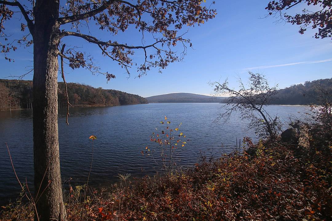 Council Bluff Lake