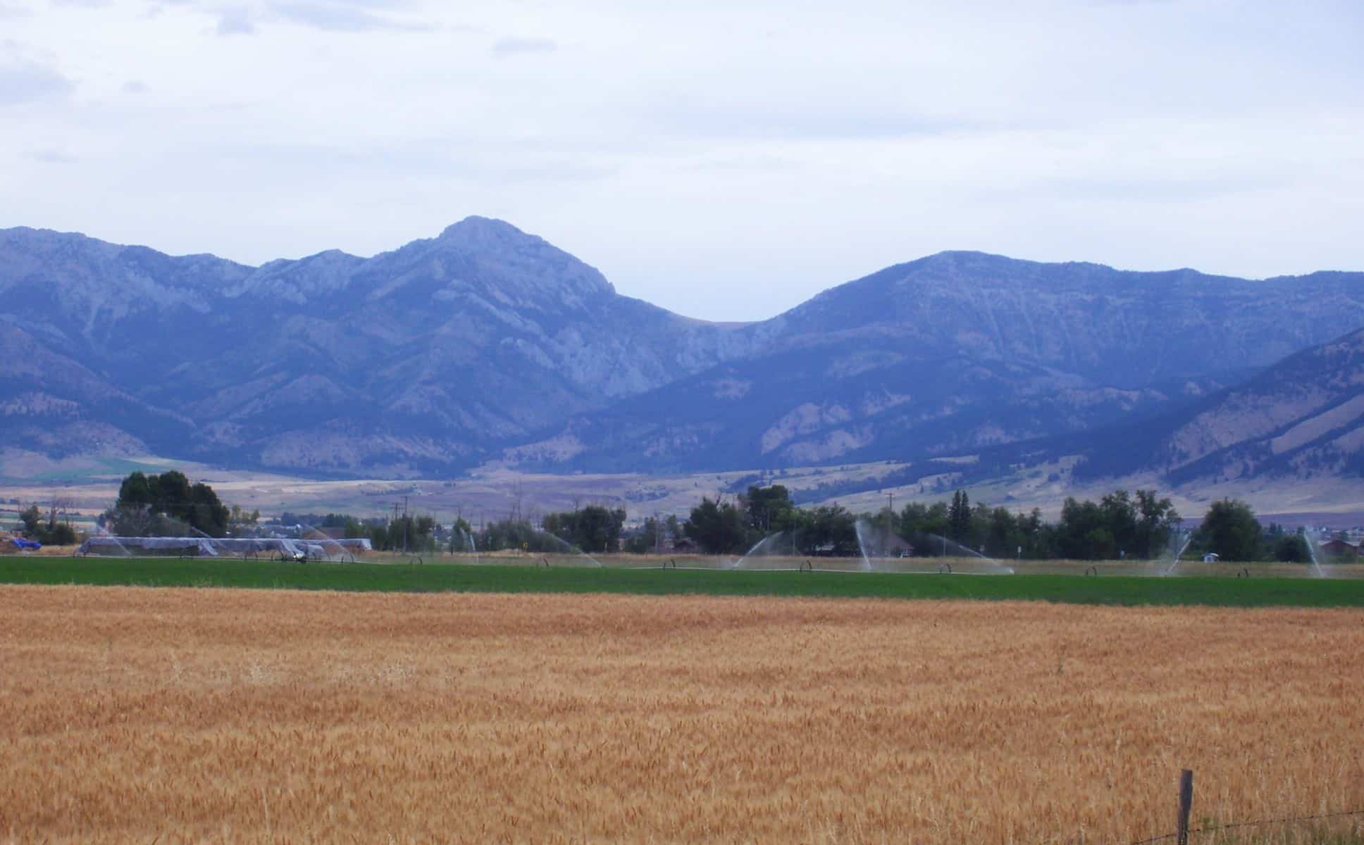 Belgrade Montana