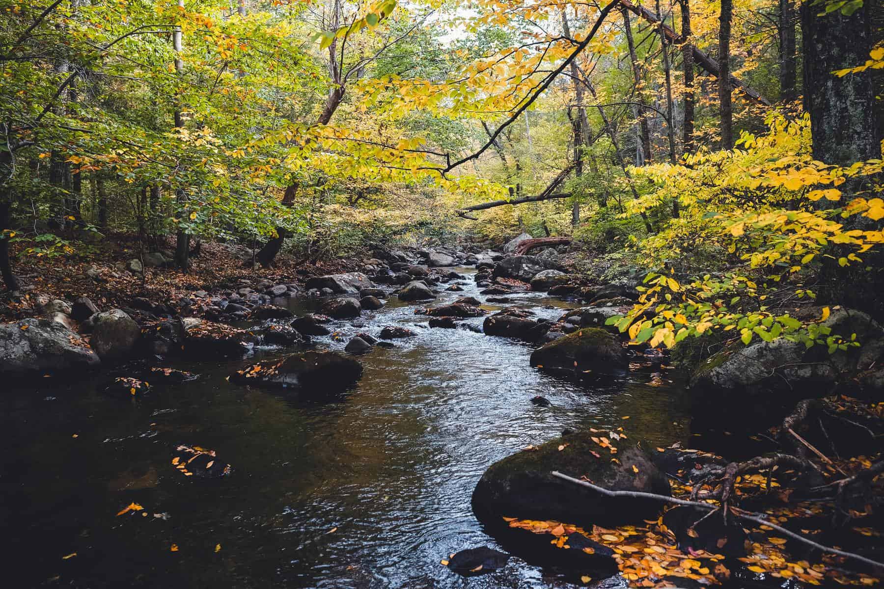 Harriman State Park